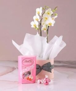 2 Stems White Orchid Plant in White Box and Lindt Truffles 200gm