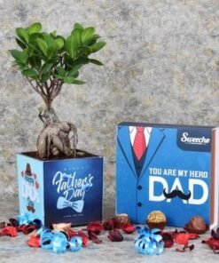 Fathers Day Bonsai Plant and Premium Chocolates