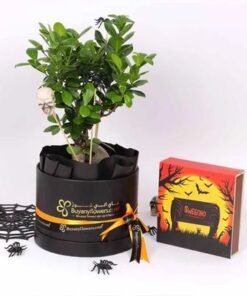 Halloween Bonsai Plant and Sweecho Chocolates