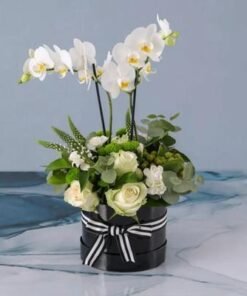 Thought Plants and Flowers in Box