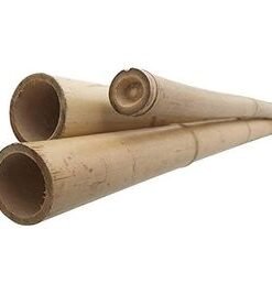 Alternative view of Bamboo Sticks for Plants - 120cm, 10pcs | Plant Support Stakes | 24-16mm, Plant Support Pole | Durable Plant Stick for for Flowers, Vegetables, and Creepers | Garden Sticks (10pcs, 120cm)