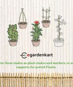 Bamboo Sticks for Plants - 120 Cm, 10 Pcs | Garden Sticks for Strong Support | Long Plant sticks for Plant Support Stakes (Slim, 10pcs, 120cm) - Image 5