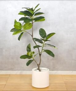 Alternative view of Artificial Rubber Plant, Faux Plant with Flexible Stems, Green Leaves, Simulated Trunk & Pot, Maintenance-Free & Long-Lasting Fake Tree, Waterproof & Odorless Fake Plant for Event Decor (120cm)