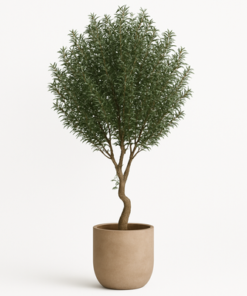 Large 220cm Luxury Artificial Olive Plant with Natural Textured Trunk (Without Pot) - Image 4