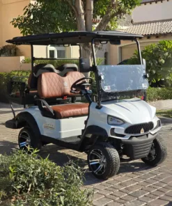 2+2 Golf Cart TXV