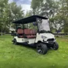 4+2 Golf Cart TXV