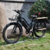 48V 17.5ah Battery 26" Lohas or OEM Electric Bike Cargo Ebike