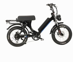 750W 48V Vintage Electric Bicycle Cheap City Electric Bike/Vintage E Bike