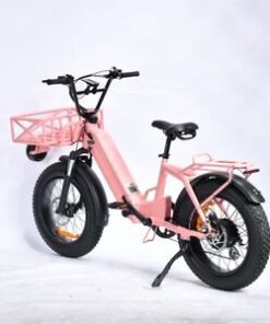 750W Step-Through Fat Tire Electric Bike with 48V 20ah Lithium-Ion Battery