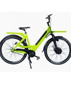 CE Certificate 48V Double Battery Electric Pizza Delivery Bike with 350W Motor
