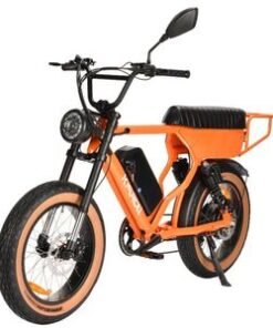 Cargo Electric Bike Suspension Front Frok E-Bike 48V 1000W/1200W Electric Bike