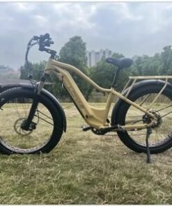 Cheap High Motor China Wholesale Electric Bicycle Customized Cargo Electric Scooter Ebike