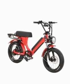 China Ebike 48V 500W/750W Vintage Electric Bike Wholesale USA Market Retro Electric Bike