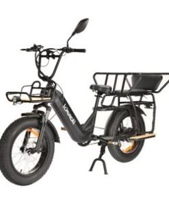 Customized Hydraulic 750W Powerful Street Skuter Two Wheel Motorcycle Fat Tyre E-Bike