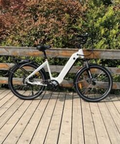 E Bike 48V 10.4 Ah Ergonomic Aluminum Frame Electric City Bike Rear Motor City E Bike