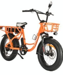 Electric Bike 20X4.0 Fat Tires with Hydraulic Brakes