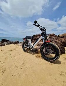 Factory CE Approved Lithium-Ion E Fatbike Removable Battery Fat Tyre Motorcycle Electrical Bike