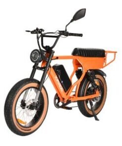 Factory Price 20 Inch 10000W/1200W Outdoor Removable Battery Mountain Electric Fat Bike