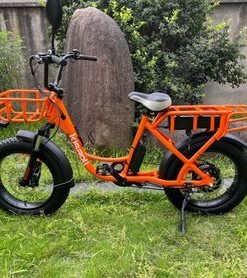 Fat Tire 1200W Electric Bike with Rear Rack