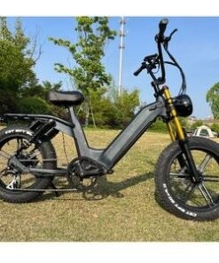 Fat Tire 48V 21ah Lithium Battery Son Super Model Ebike Beach Retro 500W E Bike Electric Bicycle