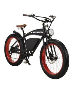 Fat Tire Electric Cruiser Bicycle 48V 12ah with LCD Display