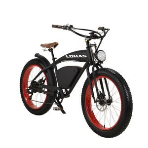 Fat Tire Electric Cruiser Bicycle 48V 12ah with LCD Display