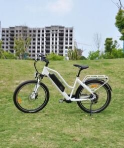 Fat Tire Removable 48V 10.4ah Lithium-Ion Battery 7 Speed Front Suspension Fork Urban Commuting Cycle Cargo Electric Bikes