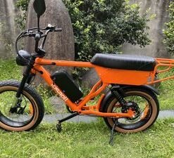 High-Performance 1000W High Speed 45km Aluminum Alloy Lithium Battery Commuter Strong Frame New Style Electric Bike