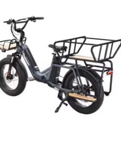 High Quality 500W Cargo Electric Ebikes with Hidden Removable Battery