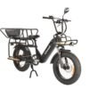 High Quality Foldable 20inch 750W Removable 48V 15ah off Road Aluminum Frame Electric Bike E Cargo Bike
