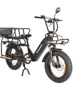 High Quality Foldable 20inch 750W Removable 48V 15ah off Road Aluminum Frame Electric Bike E Cargo Bike