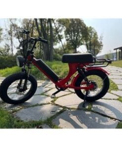 High Speed Electric Mountain Bike with Powerful Motor All Terrain Ebike Full Suspension Electric Bike