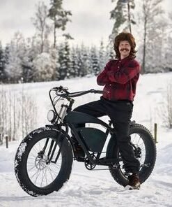 High Speed Fat Tire Mountain Wholesale Electric Bicycle with Removable Battery E-Bicycle