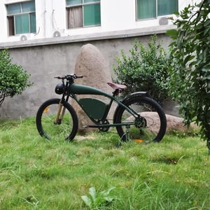 LCD Display Lohas Bicycle Dirt Electric Bike Cafe Racer with Good Service