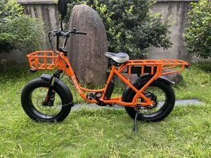 Lithium Battery CE Approved Electric Bicycle 1000W/1200W 48V Fat Tire Ebike