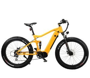 Lohas/OEM Al Alloy Frame Snow MTB Full Suspension Retro 750W 1000W Fat Tire E Bike Electric Bicycle Bike