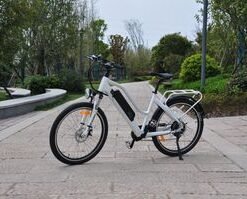 New Arrive City Ebike 26 Inch Removable 48V10.4ah Electric Bicycle