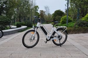 New Arrive City Ebike 26 Inch Removable 48V10.4ah Electric Bicycle