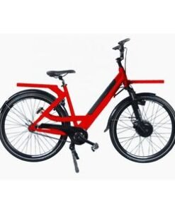 New Easy Rider 2 Wheel 250W Delivery Pizza Cargo Electric Bike Bicycle