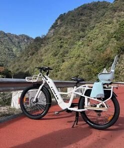 New Fashionable Electric Mountain Cheaper Price USA EU Powerful Motor Hot Sell Urban City Commuting Entral Motor Mountain Bike