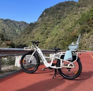 New Fashionable Electric Mountain Cheaper Price USA EU Powerful Motor Hot Sell Urban City Commuting Entral Motor Mountain Bike