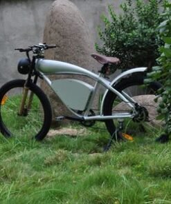 OEM 12ah 500W Outdoor Beach Field Tour Rental off Road Electric Bike
