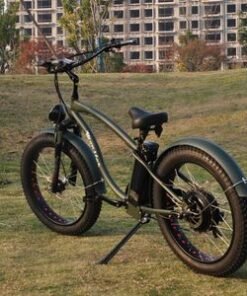 OEM Aluminum Alloy 40-70km Two Wheel Scooter Citycoco Fat Tyre Electric Bike