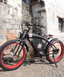 The Most Popular Long Range High Quality Big Wheel Removable Battery 500W Electric Bike Cargo Bike