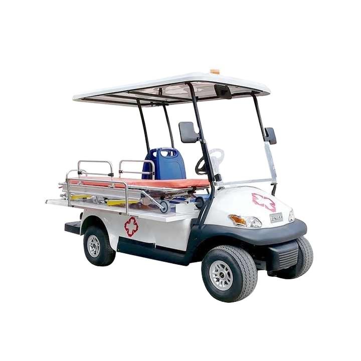 Arabian Carts 2 Seater – Responder Electric Golf Cart Buggy