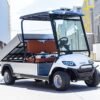 Arabian Carts LVT Electric Utility Golf Cart – 2-Seater with Long Cargo Box