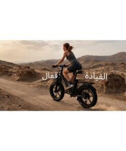 C6 Foldable Electric Bicycle - 250W Brushless Motor 48V Lithium Battery, Front & Rear Disc Brake, 40mi/h Max Speed 150kg Load