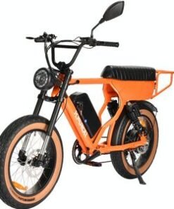 off-Road Electric Bicycle 1200W for Adults with Long Range